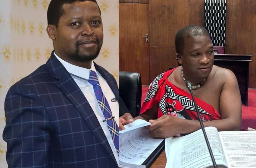 A Decade of Deception: Uncovering Eswatini’s multibillion accounting scandal