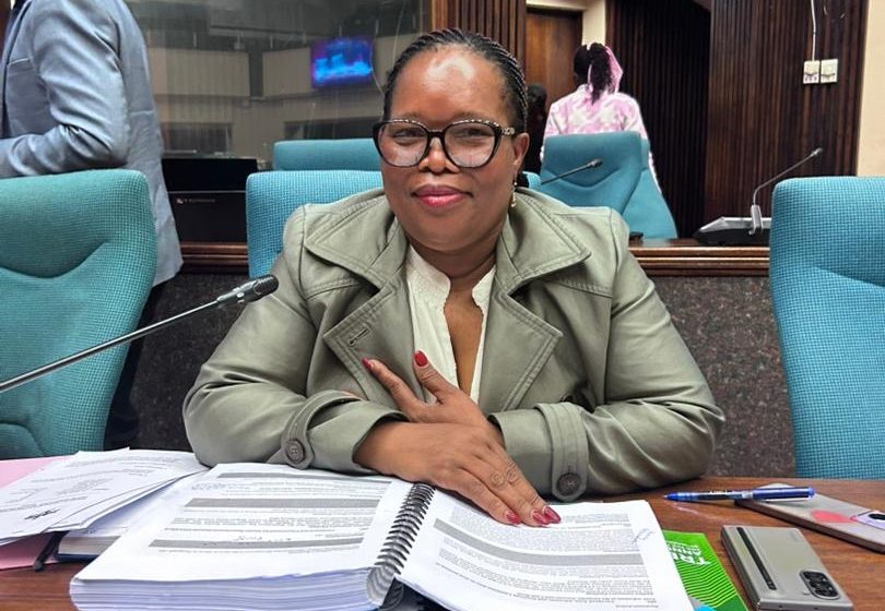  The cost of toothless oversight bodies: Eswatini’s multi-billion accounting scandal Part II